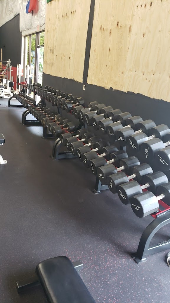  Muscle Minded Iron Gym