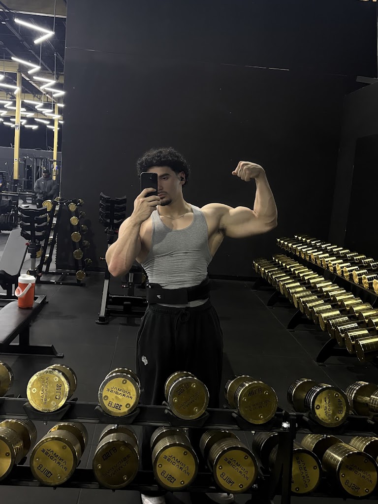  Animal Paradise Gyms | Modern Bodybuilding & Fitness Facility