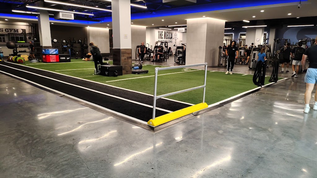  Gold's Gym Thousand Oaks