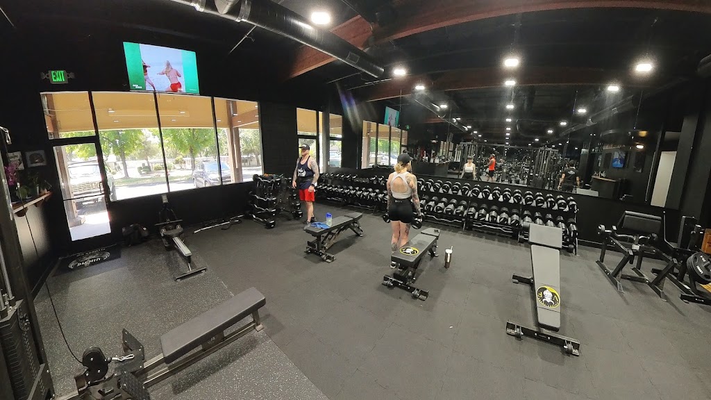  Viking Fitness Company