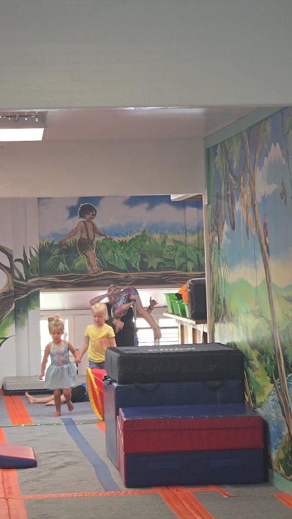  Elite Gymnastics Academy