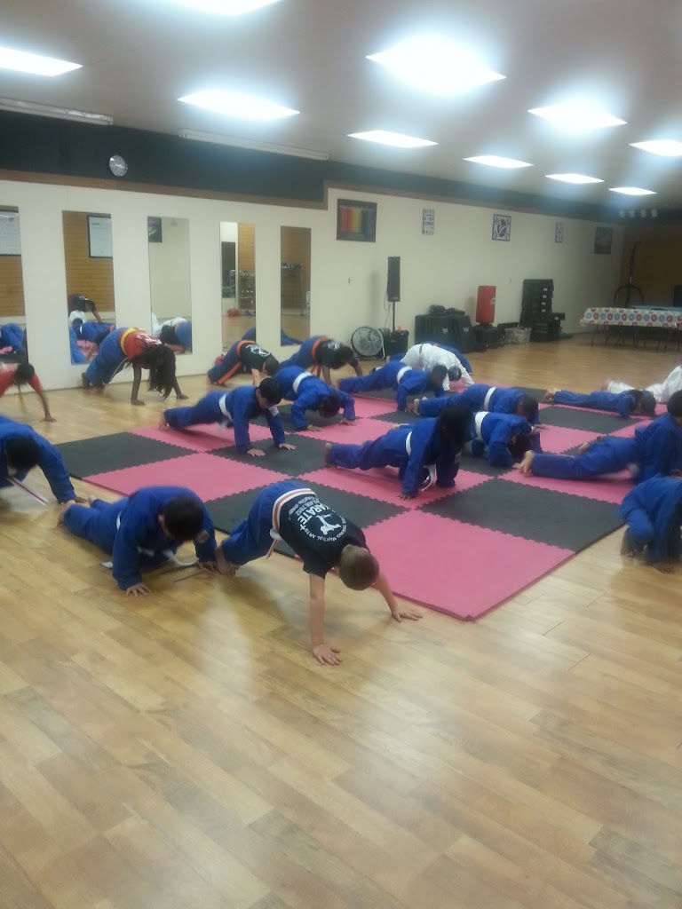  Cross Training Martial Arts