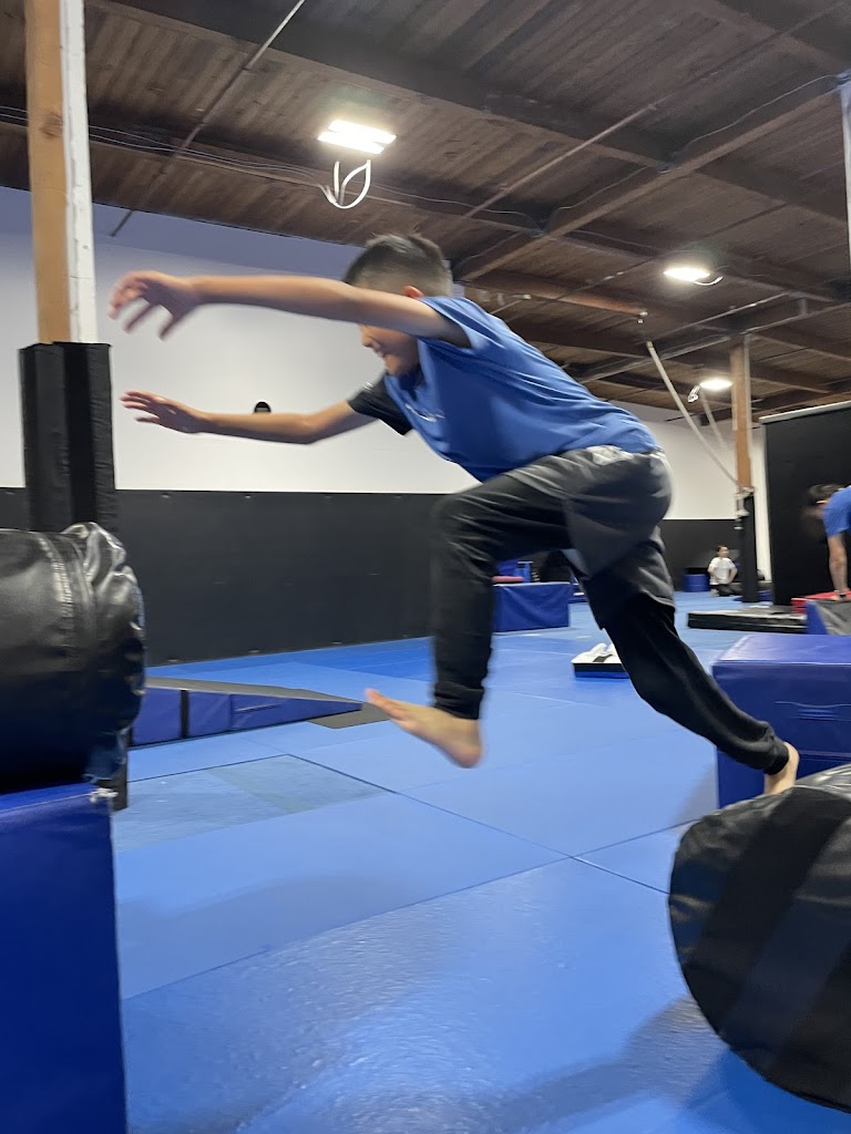  The Praxeum - Parkour x MMA