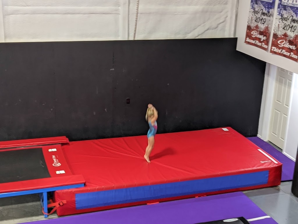  Platinum Gymnastics Academy