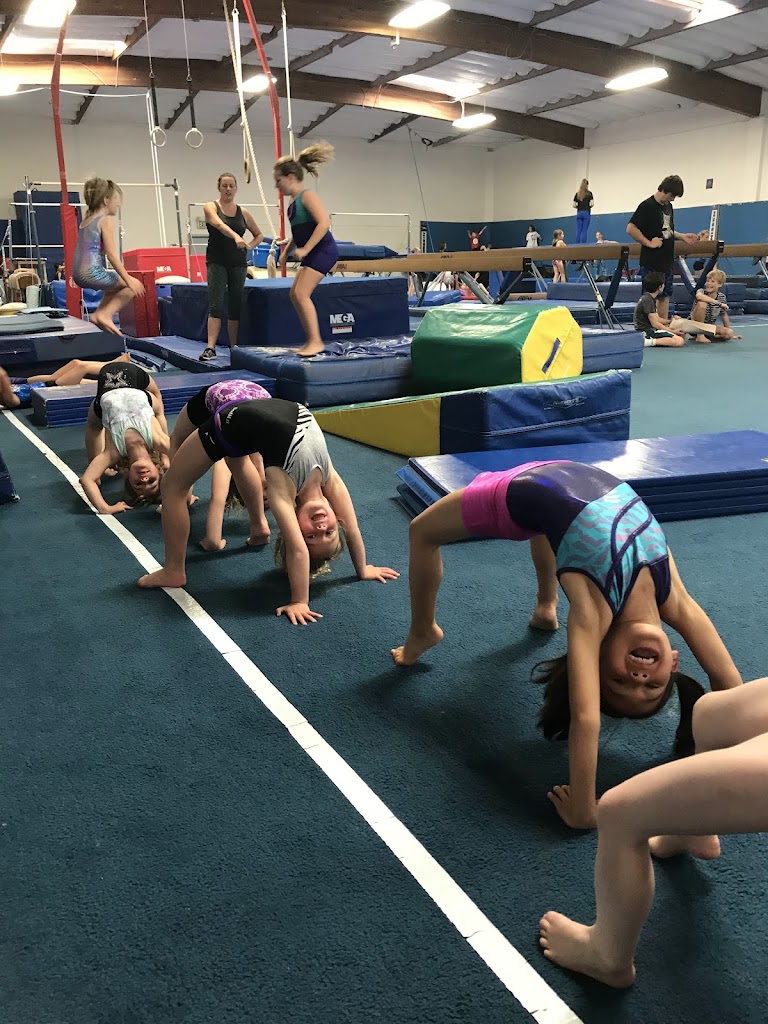  Marin Elite Gymnastics Academy MEGA