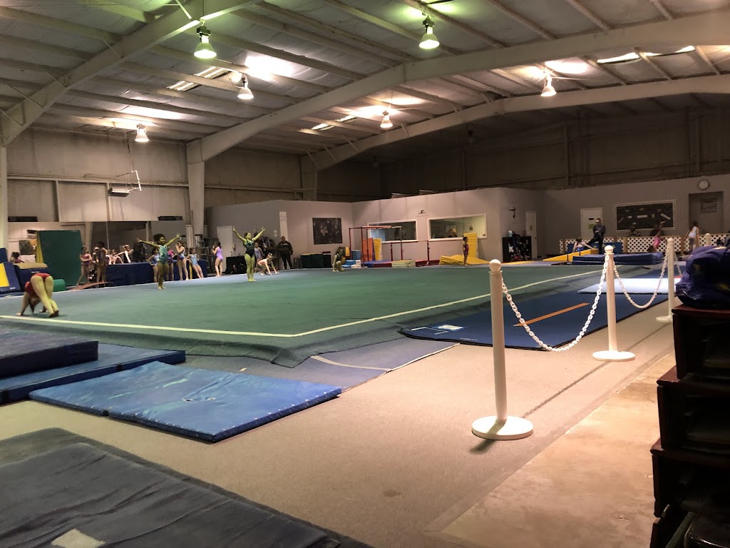  Ultimate Gymnastics and Cheer