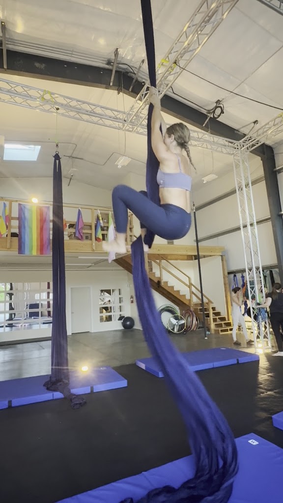  Bellingham Aerial and Dance