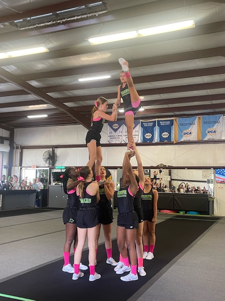  Stunt and Tumble