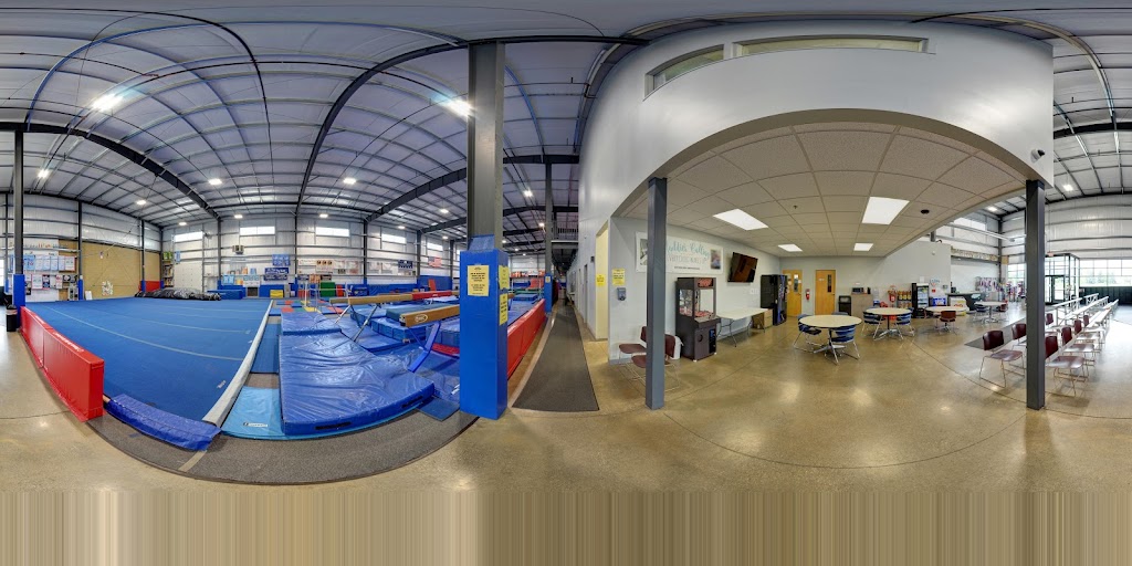  For the Kidz Gymnastics