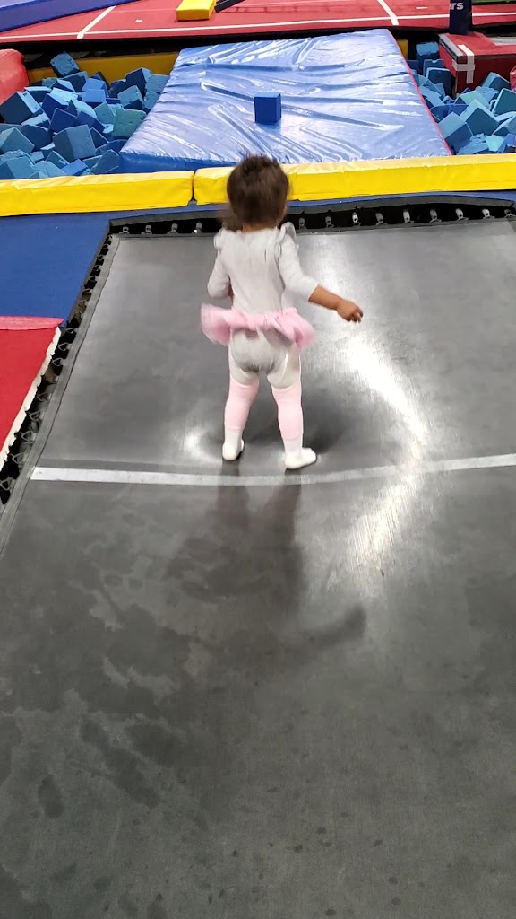  Vasi's International Gymnastics, LLC