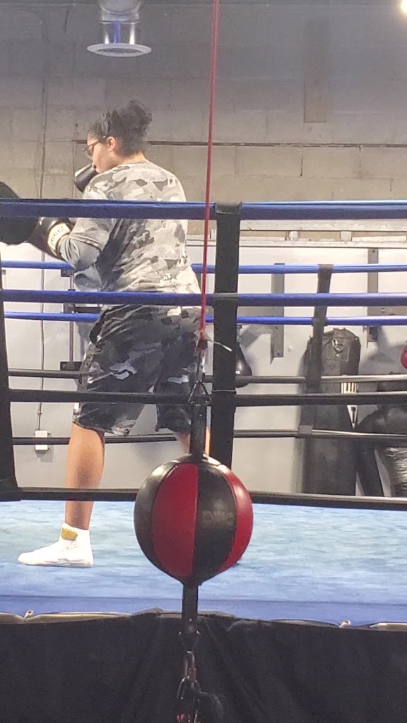  TITLE Boxing Club Kettering