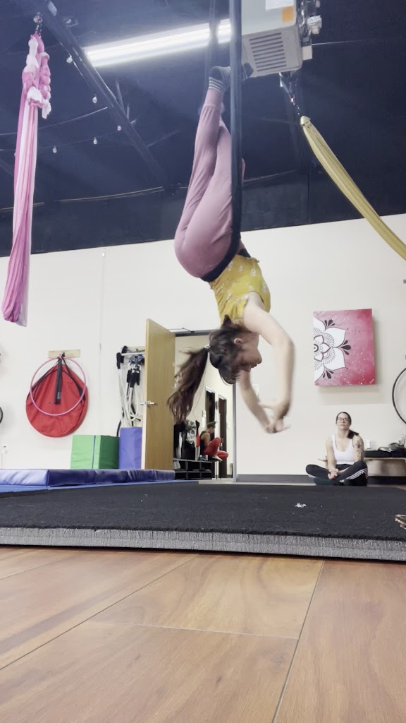  Center for Performance Arts And Learning