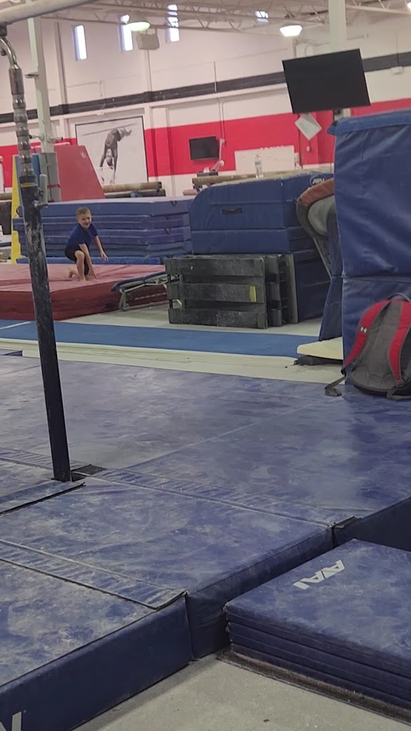  International Gymnastics Academy