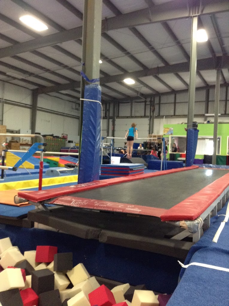  Tumble U Gymnastics