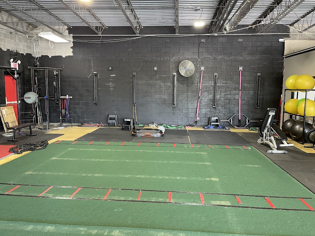  All Star Performance