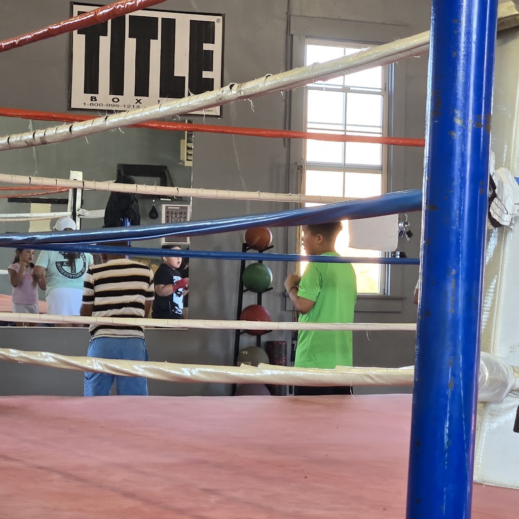  Elite Boxing Muaythai