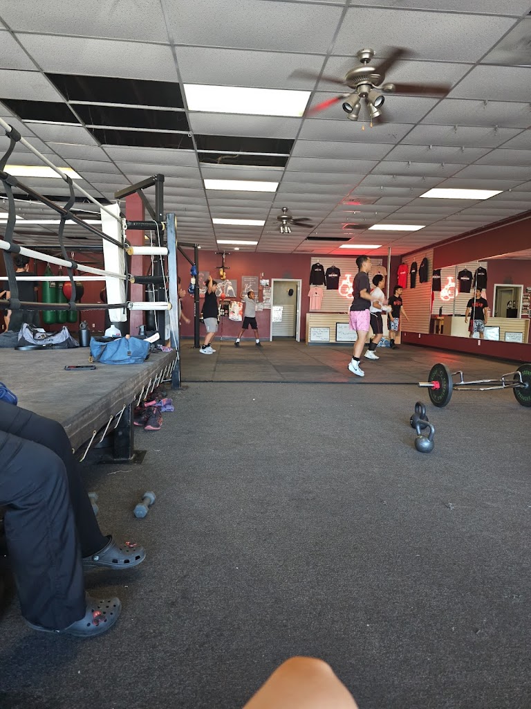  Elite Boxing and Fitness