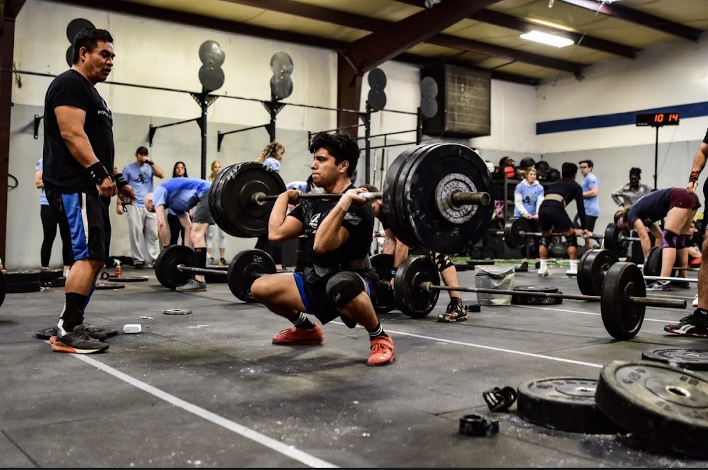  Forged Athlete Training Systems