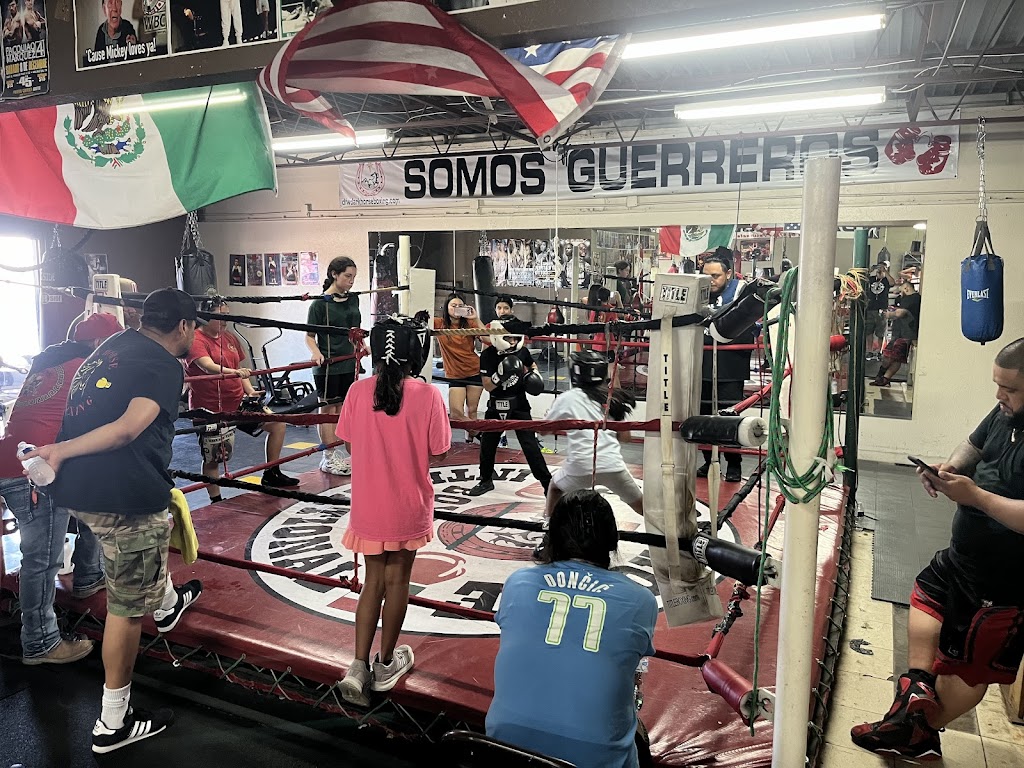  Dark Horse Boxing Academy