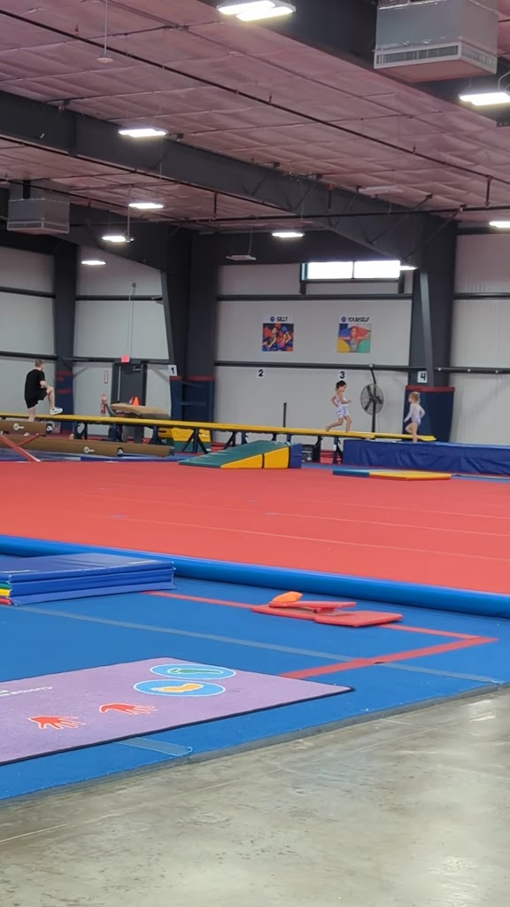  Best Gymnastics