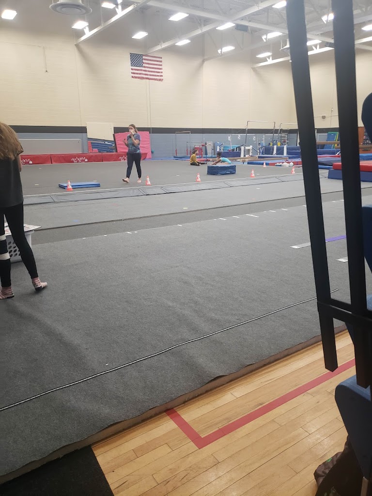  Dynamic Flights Gymnastics