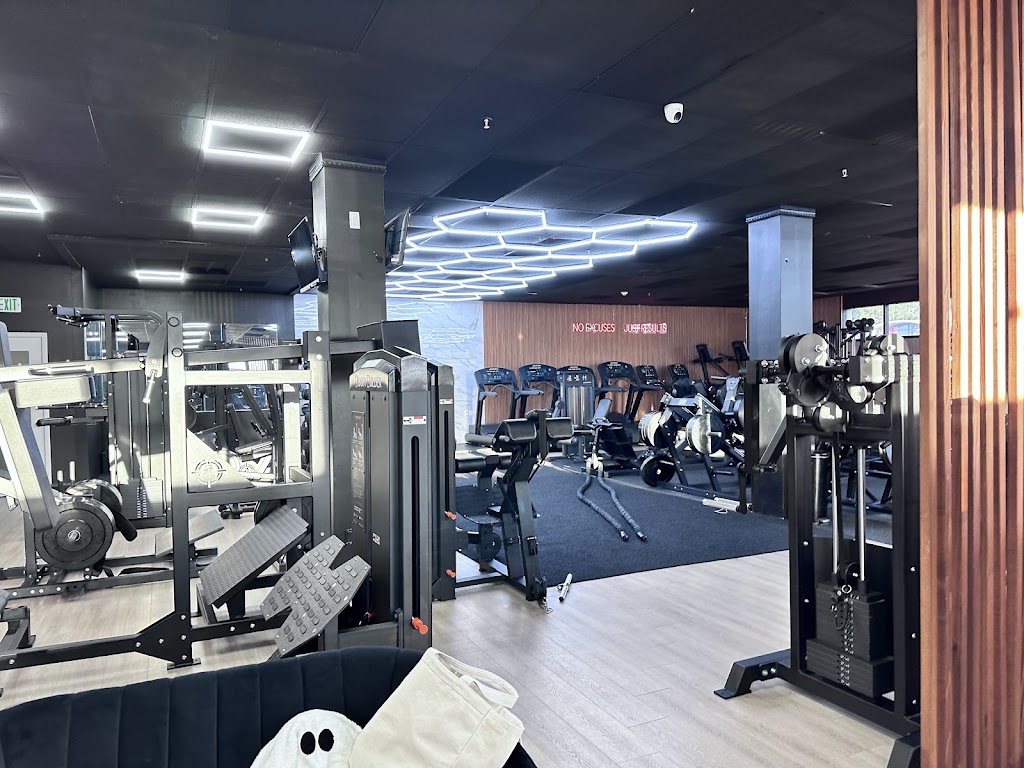  PMF - PRO MOTIVATION FITNESS