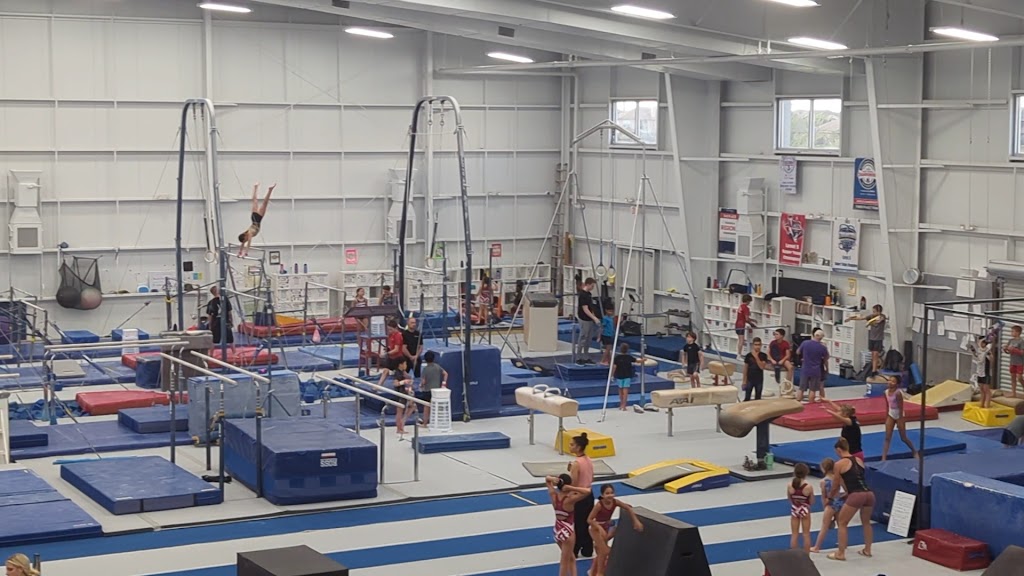  Fun & Fitness Gymnastics