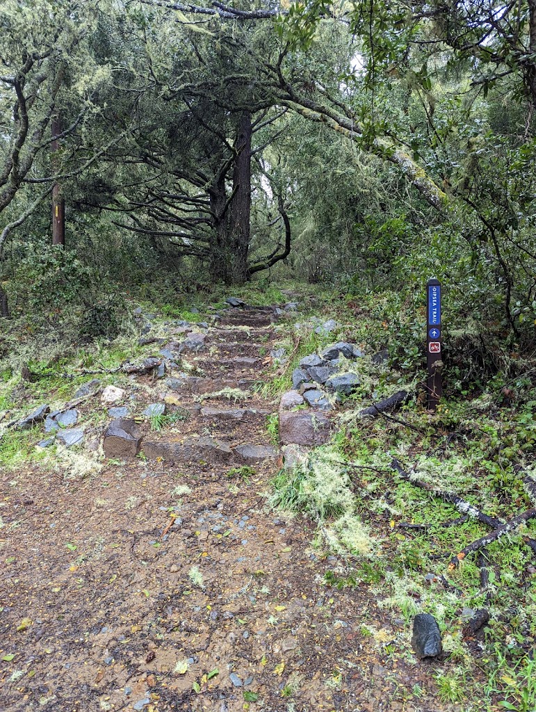  Six Harmonies United