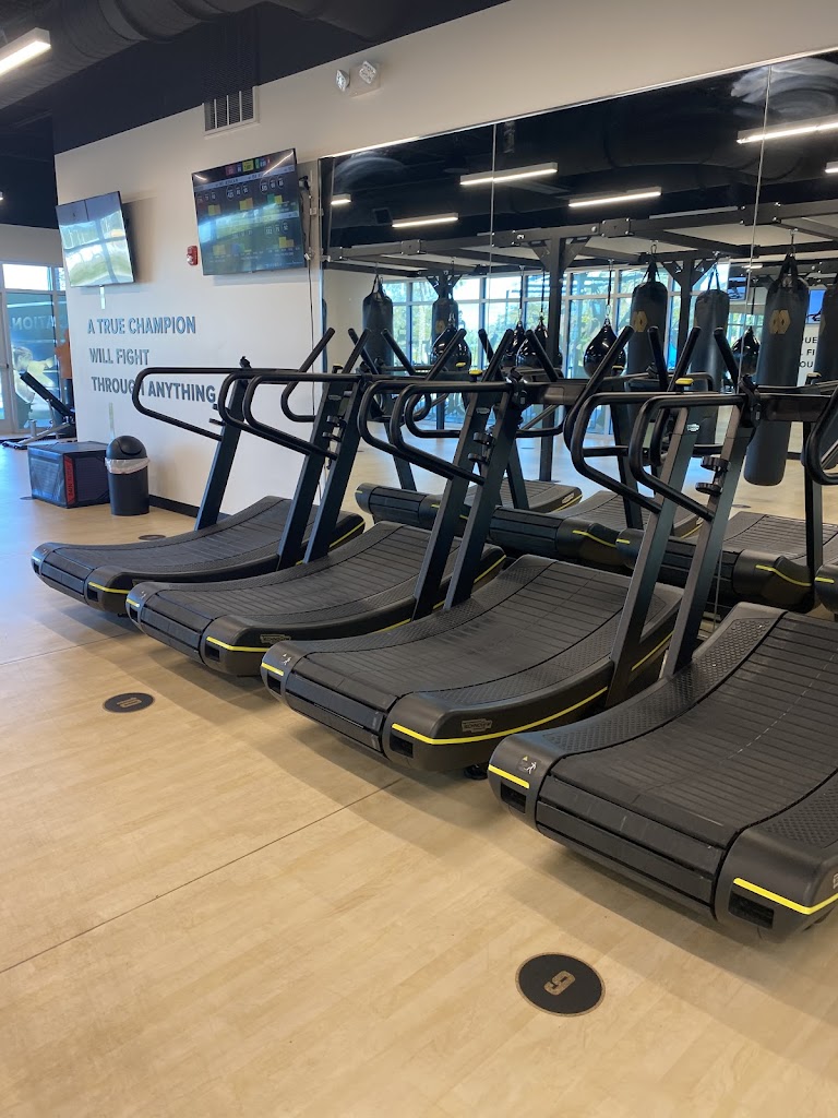  Mayweather Boxing + Fitness