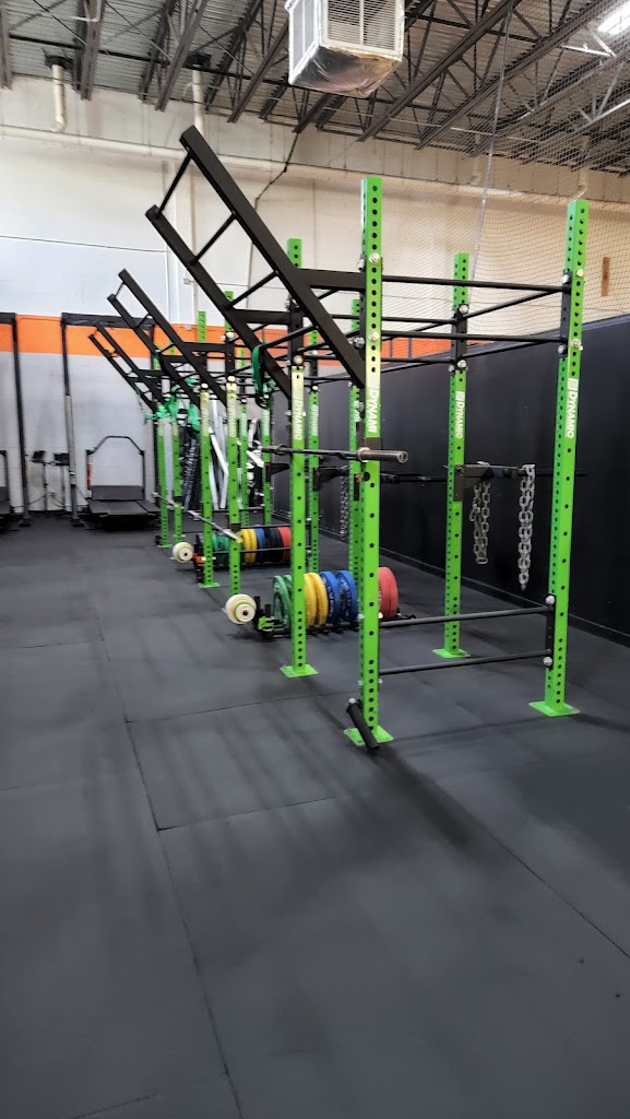  Athletics: Sports and Performance