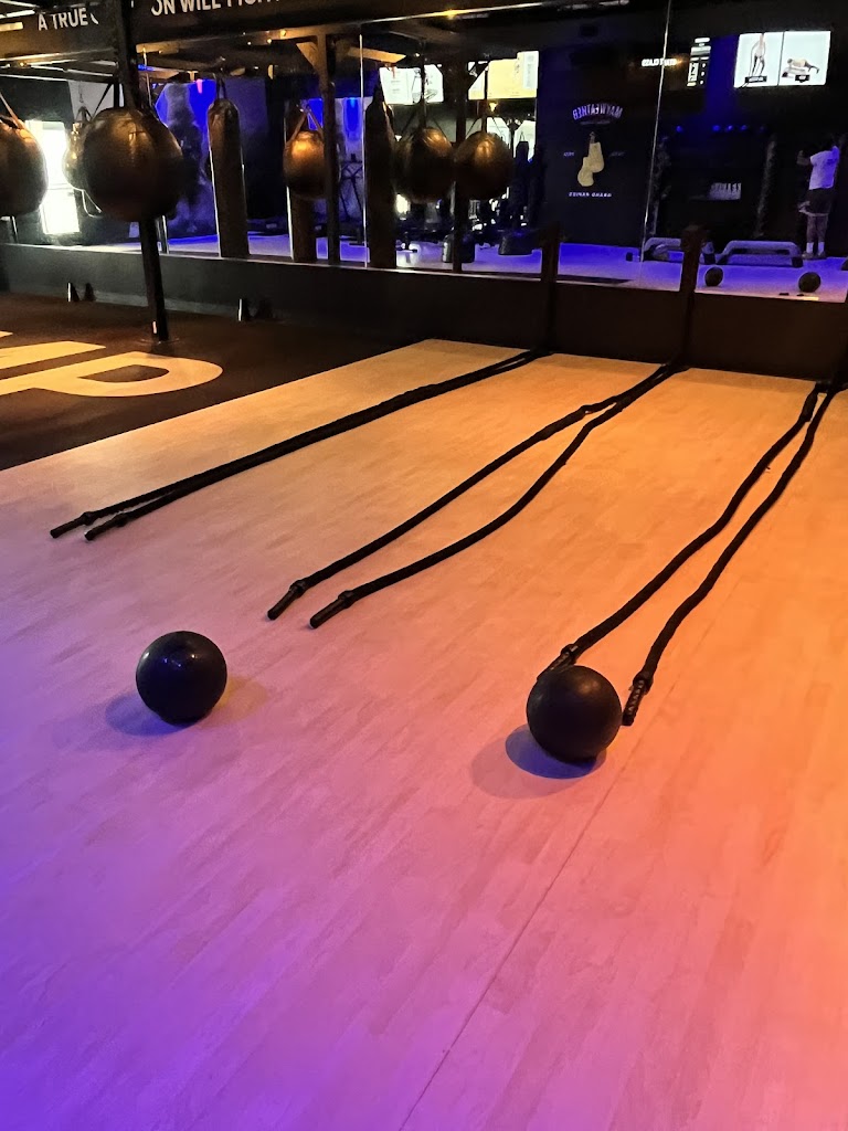  Mayweather Boxing + Fitness