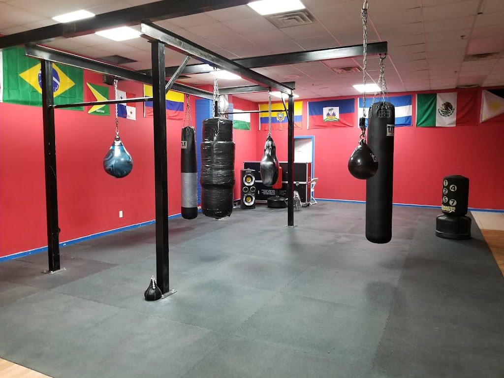  International Boxing & Fitness