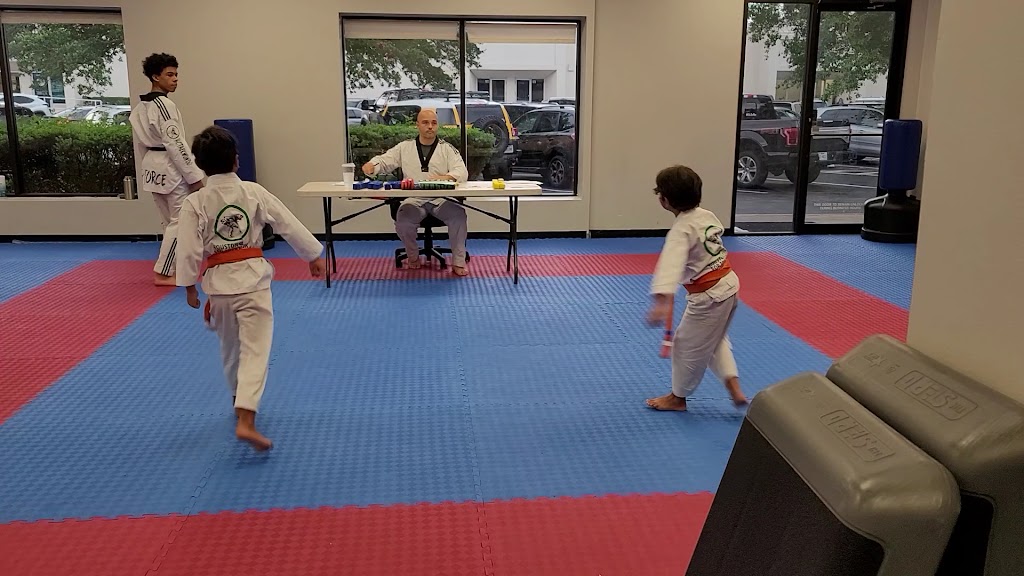  The Houston Center for Taekwondo