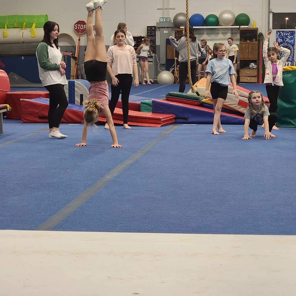  Phoenix Gymnastics