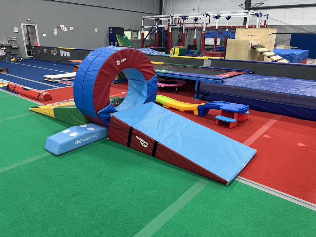  All American Gymnastics Academy