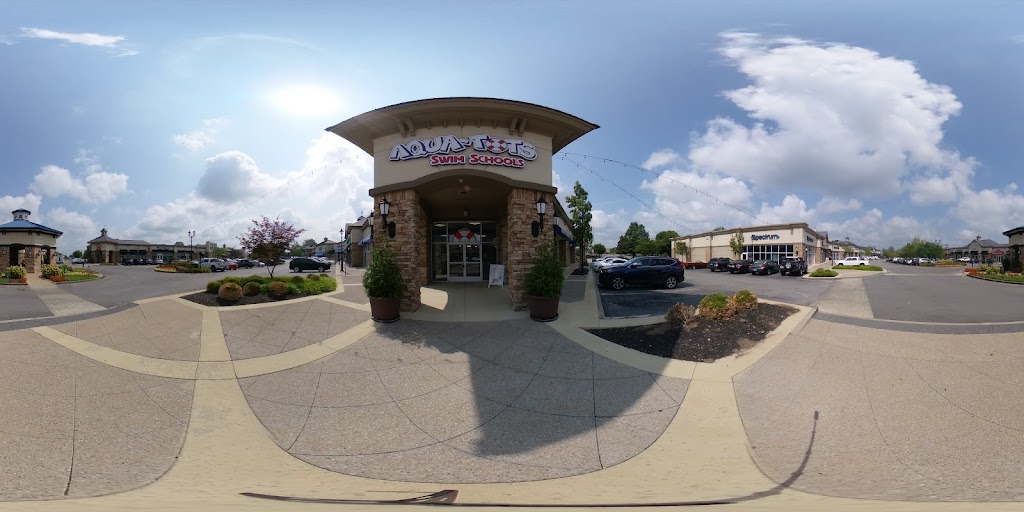  Aqua-Tots Swim School Lexington-Hamburg