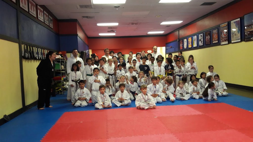  Flying V Martial Arts