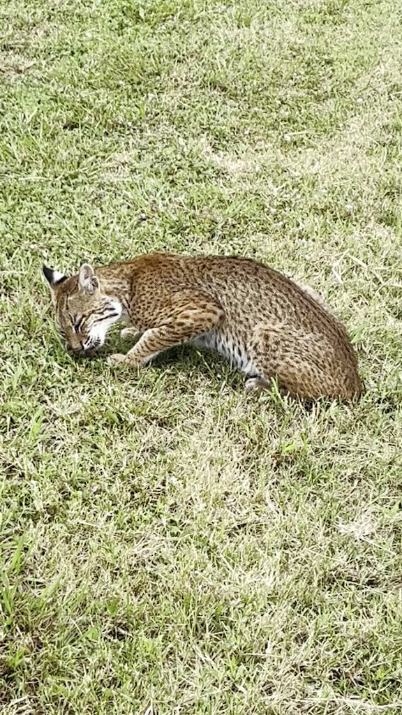 Plum Creek Golf Course