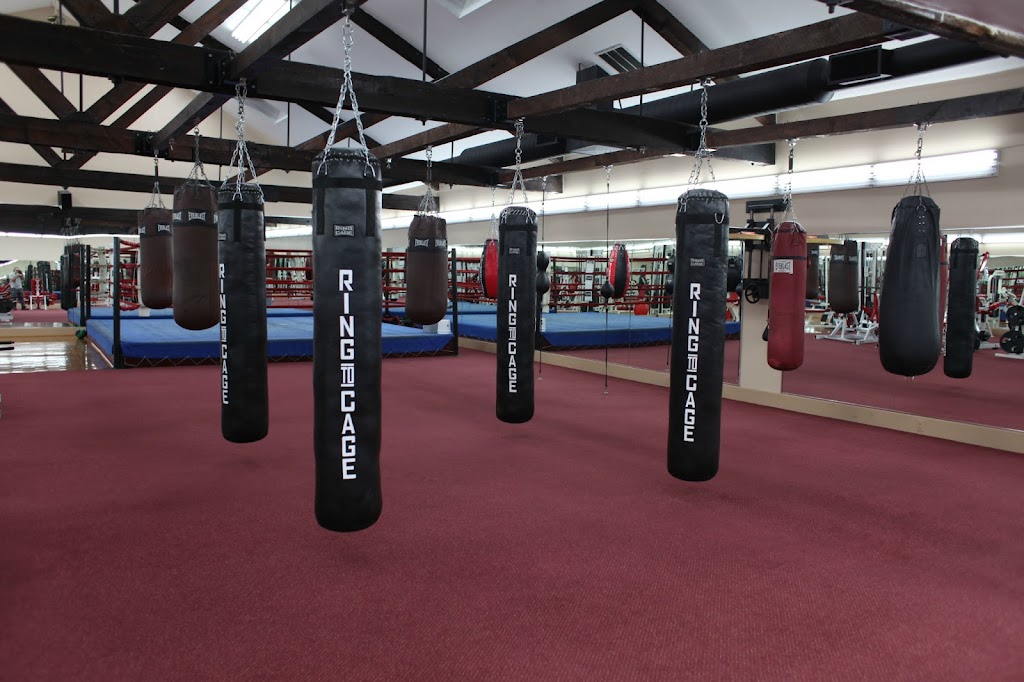  World Boxing Gym