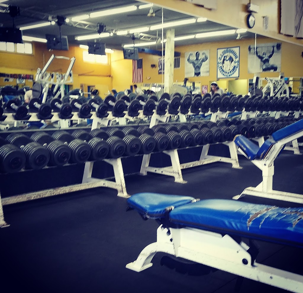  Dumbbells Health & Fitness Gym