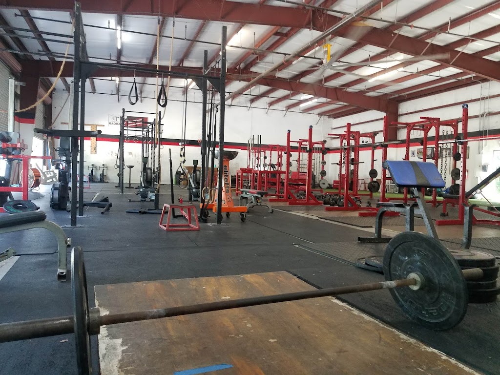  Elite Strength and Performance