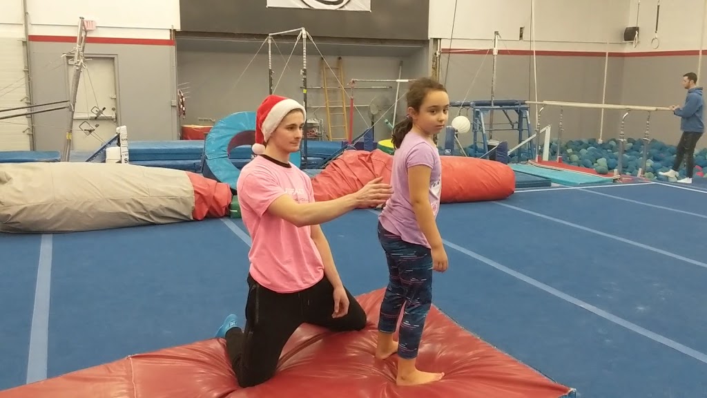  Impact Gymnastics Academy
