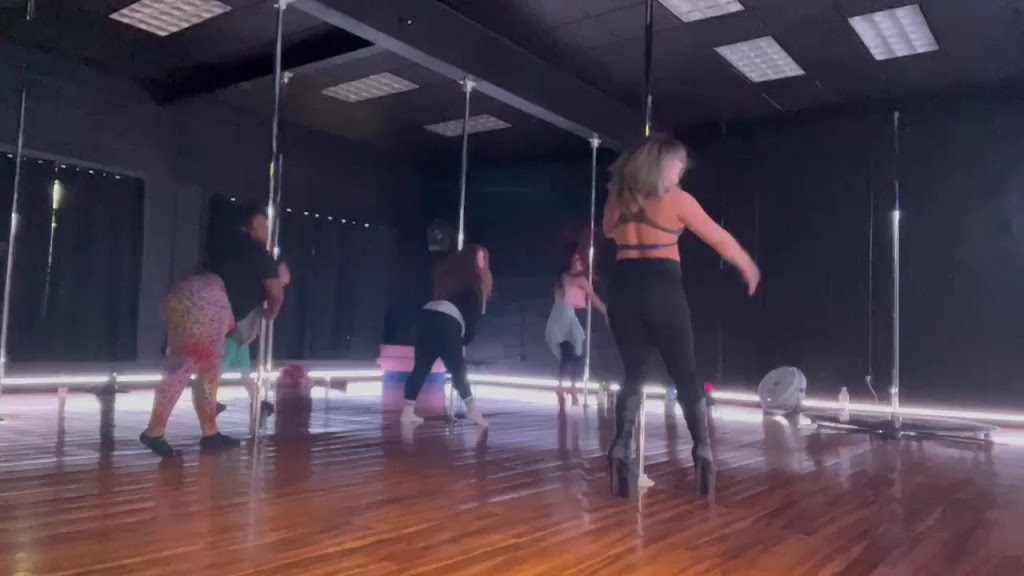  Aries Aerial Arts and Pole Dance Fitness