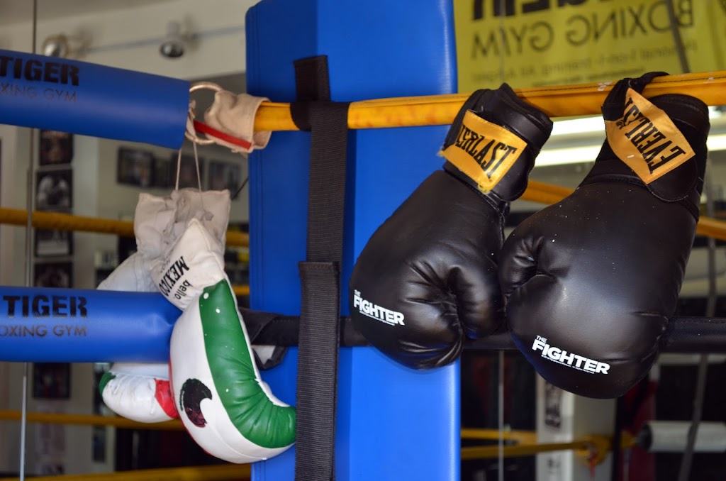  Tiger Boxing Gym