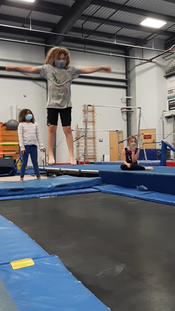  Regal Gymnastics