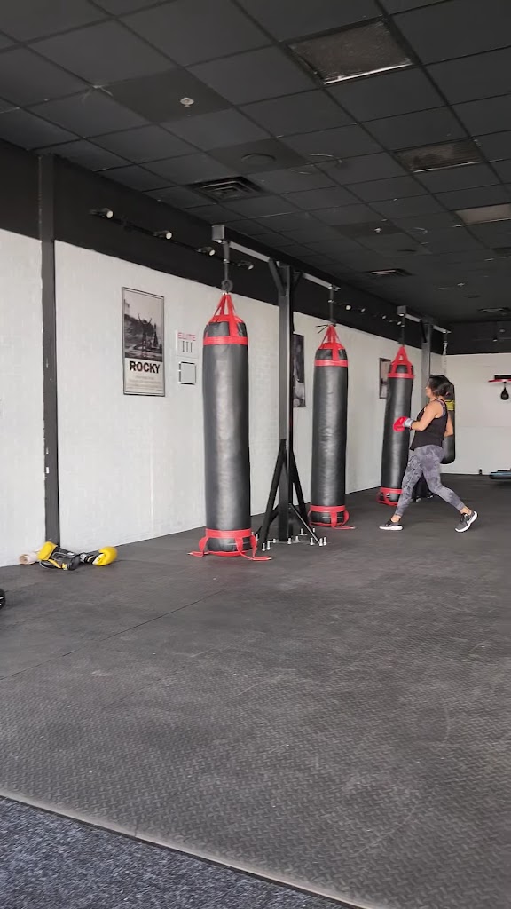  Elite 12 Kickboxing Fitness