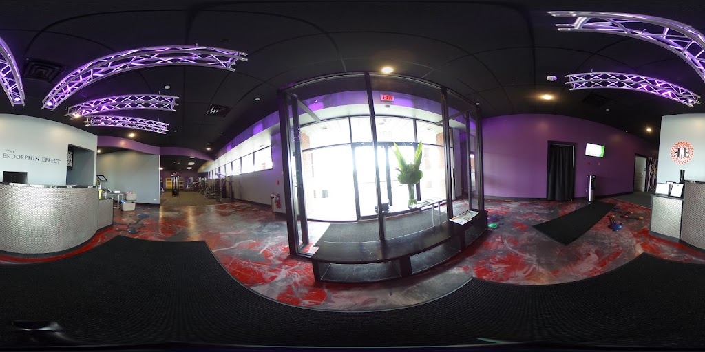  The Endorphin Effect