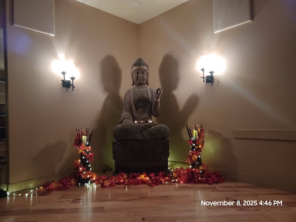  whole body wellness and yoga