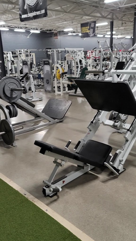  American Muscle Factory