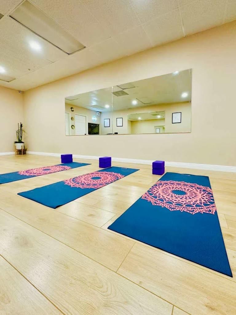  Vitality Movement Academy 活學社